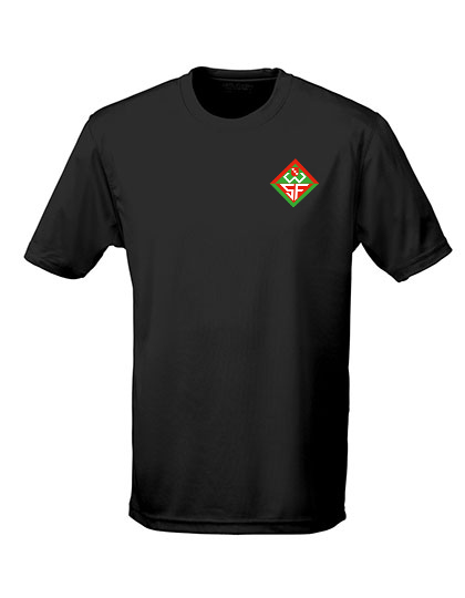 Aufwärmshirt Wernauer Sportfreunde